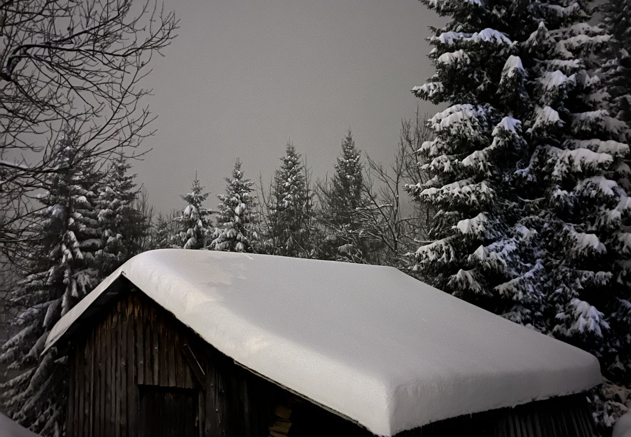 Chalet in Les Gets - NIEUW! Les Folliets, Berghuis - LES GETS